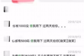 泗洪为什么选择专业追讨公司来处理您的债务纠纷？